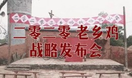 老乡鸡真实爆料视频大全,揭秘视频背后的真相与内幕